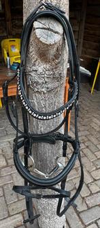 HB Hoofdstel COB, Ophalen of Verzenden, Zo goed als nieuw, Dressuur