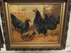 schilderij, kippen (2), Antiek en Kunst, Kunst | Schilderijen | Klassiek, Ophalen of Verzenden