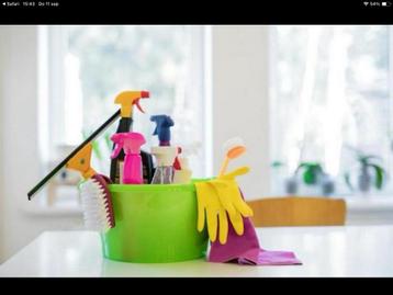 SCHOONMAAKSTER beschikbaar voor biedingen