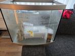 Aquarium met benodigdheden

€ 25 euro, Ophalen, Gebruikt, Leeg aquarium