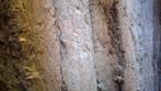 Rockwool Isolatie, Dieren en Toebehoren, Meerdere dieren, Tropenvogel