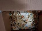 Sigarenbandjes, Ophalen of Verzenden, Zo goed als nieuw, Sigarenbandjes