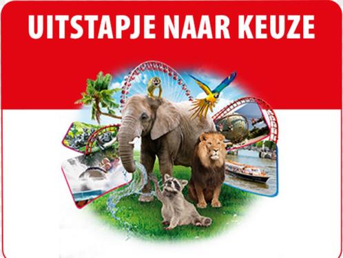 Postcodeloterij 4x uitstapje naar keuze, Tickets en Kaartjes, Recreatie | Pretparken en Attractieparken