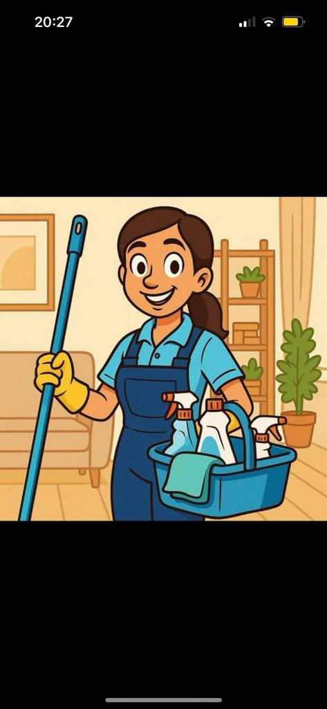 Huishoudelijke hulp aangeboden!, Vacatures, Vacatures | Schoonmaak en Facilitaire diensten