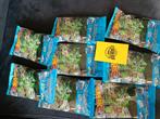Hot Wheels Mystery Models Serie 3 - 10 Stuks!, Overige merken, Auto, Nieuw, T