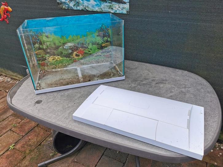 Aquarium dat lek is., Dieren en Toebehoren, Vissen | Aquaria en Toebehoren, Gebruikt, Leeg aquarium, Ophalen