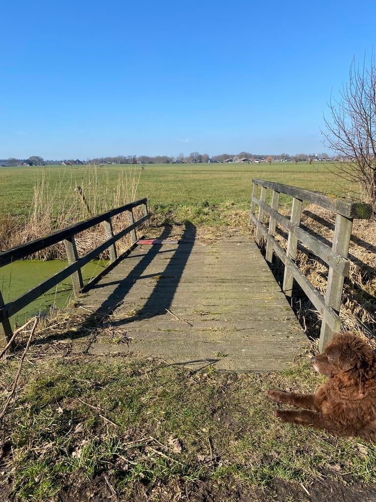 Brug loopbrug, Tuin en Terras, Ophalen
