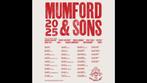 Mumford & Sons Amsterdam 2x staanplekken, Twee personen, November