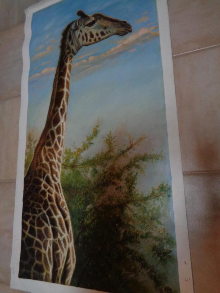 *Prachtige grote gesigneerde schilderij met een giraf, Antiek en Kunst, Kunst | Schilderijen | Klassiek, Ophalen of Verzenden