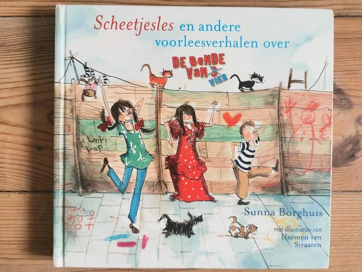 Sunna Borghuis - Scheetjesles, Boeken, Kinderboeken | Jeugd | onder 10 jaar, Zo goed als nieuw, Ophalen of Verzenden
