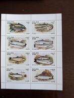 OMAN, velletje (8) VISSEN, Postzegels en Munten, Postzegels | Thematische zegels, Verzenden, Postfris, Dier of Natuur