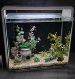 Superfish home 40 wit, compleet, Ophalen, Zo goed als nieuw, Gevuld zoetwateraquarium