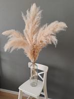 Pampasgras pluimen, 4 stuks inclusief vaas (droogbloemen), Huis en Inrichting, Ophalen, Nieuw