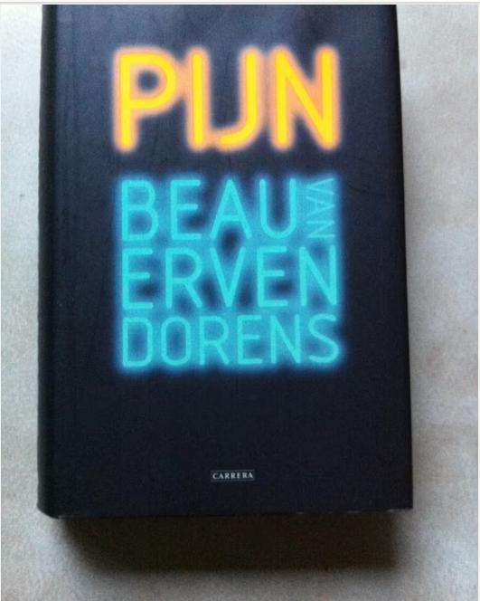 Boek pijn BEAU van ERVENB DORENS, Boeken, Ophalen of Verzenden, Zo goed als nieuw, BEAU van ERVENB DORENS