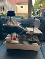 Hamsterhok met toebehoren, Dieren en Toebehoren, Kooi, Minder dan 75 cm, Zo goed als nieuw, Ophalen