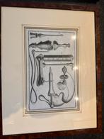 Klassieke Medische Prenten in Notenhouten Lijst, Ophalen