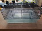 Hamsterkooi, Dieren en Toebehoren, Ophalen, Minder dan 75 cm, Kooi, Minder dan 60 cm