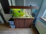 Juwel aquarium  met pomp, Dieren en Toebehoren, Vissen | Aquaria en Toebehoren, Ophalen, Zo goed als nieuw