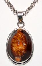 Prachtige Sterling Zilver Kauri Schelp Hanger, Verzenden, Zilver, Hanger, Met edelsteen