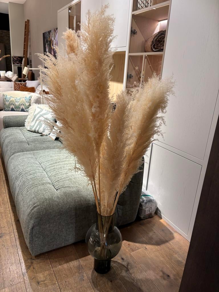 Pampasgras in vaas, Ophalen, Zo goed als nieuw