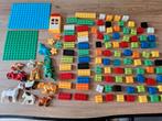 Grote Duplo Stenen Verzameling met Dieren, Ophalen of Verzenden, Zo goed als nieuw, Losse stenen, Duplo