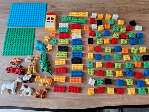 Grote Duplo Stenen Verzameling met Dieren, Kinderen en Baby's, Speelgoed | Duplo en Lego, Zo goed als nieuw, Duplo, Losse stenen