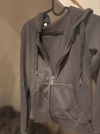 Vest, Kleding | Dames, Ophalen of Verzenden, Zo goed als nieuw, Maat 34 (XS) of kleiner, Grijs
