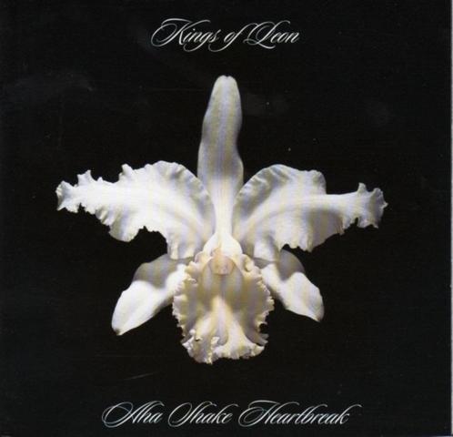 Rock C.D. (2004) Kings of Leon - Aha Shake Heartbreak, Cd's en Dvd's, Cd's | Pop, Gebruikt, 2000 tot heden, Ophalen of Verzenden