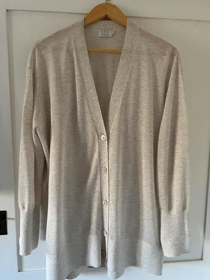 Vest Sey Studio, maat M / L, licht grijs melange, Kleding | Dames, Truien en Vesten, Nieuw, Maat 42/44 (L), Grijs, Ophalen of Verzenden