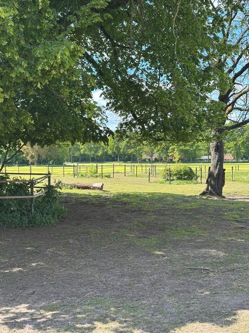 Paddock, Dieren en Toebehoren, Stalling en Weidegang, Stalling, Weidegang