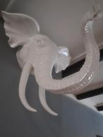 Olifant hoofd moet weg nieuwe staat, Ophalen