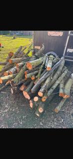 Brandhout, Tuin en Terras, Haardhout, Minder dan 3 m³, Ophalen, Overige houtsoorten, Blokken