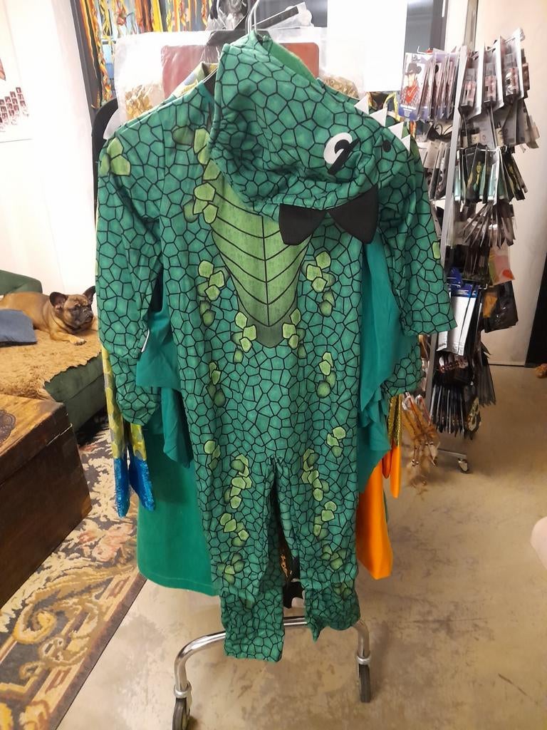Groen Dino Kostuum, Ophalen of Verzenden, Nieuw, 110 t/m 116, Jongen of Meisje