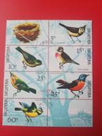 Albanië kleinboog ll, Ophalen of Verzenden