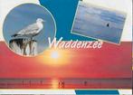 Ame258 gelopen ansichtkaart waddenzee, Verzenden, 1980 tot heden, Gelopen
