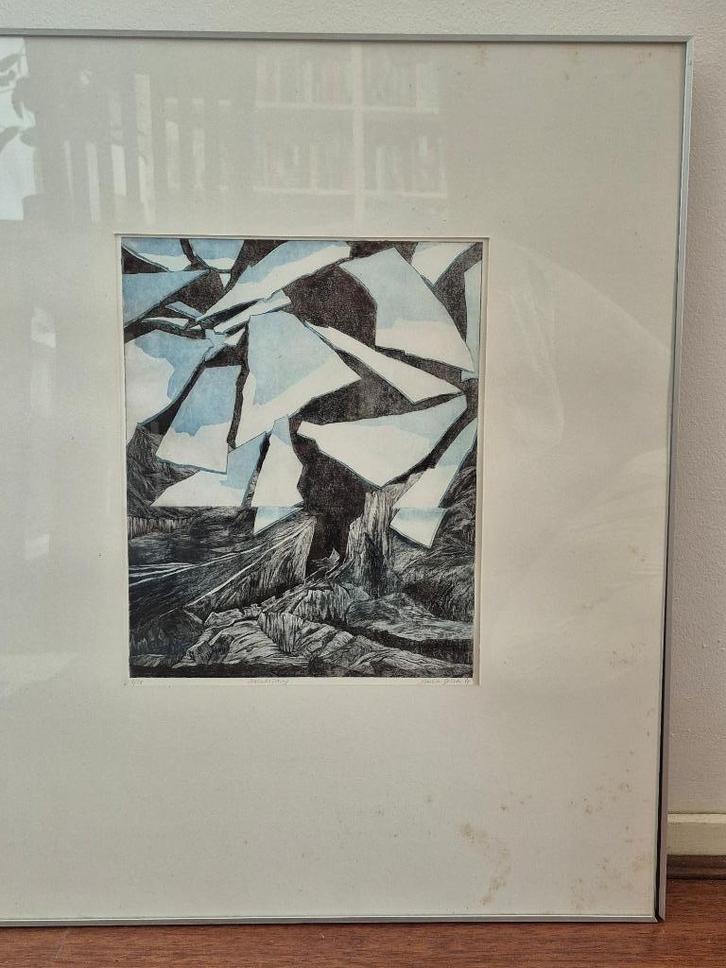 Professionele ets., Antiek en Kunst, Kunst | Etsen en Gravures, Ophalen