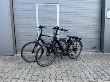 2x Pegasus Tecaro Evo Belt beschikbaar voor biedingen