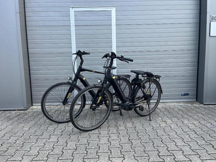 2x Pegasus Tecaro Evo Belt, Fietsen en Brommers, Fietsen | Heren | Herenfietsen, Gebruikt, Overige merken, 61 tot 65 cm, Versnellingen