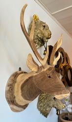 Handgemaakte houten hertenkop voor aan de wand - L 50/75/60, Antiek en Kunst, Ophalen