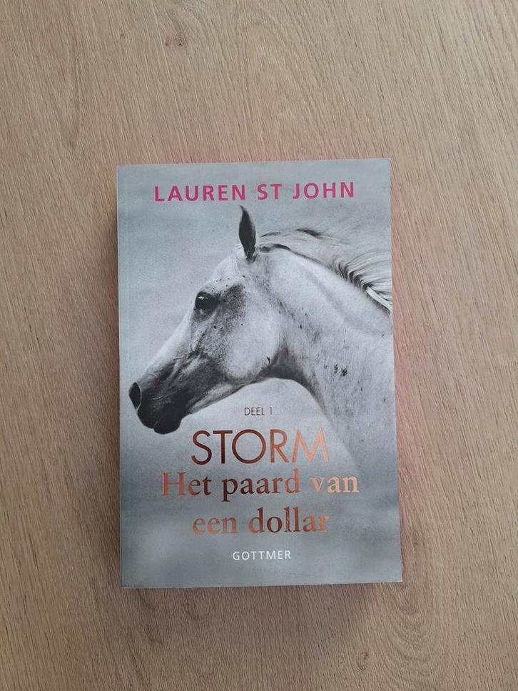 Storm - Het paard van een dollar (Lauren St John), Boeken, Kinderboeken | Jeugd | 10 tot 12 jaar, Zo goed als nieuw, Fictie, Ophalen