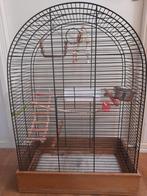 Grote complete zwarte vogel kooi., Ophalen, Nieuw, Metaal, Vogelkooi