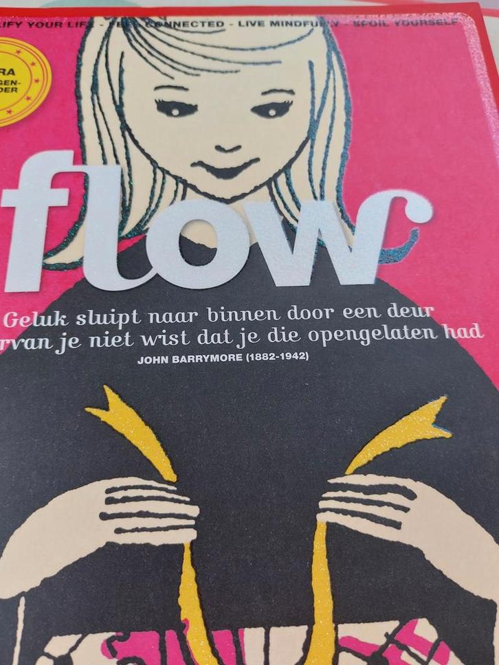 Flow Magazine - Inspirerend Tijdschrift 2014, Boeken, Tijdschriften en Kranten, Zo goed als nieuw, Glossy, Ophalen of Verzenden