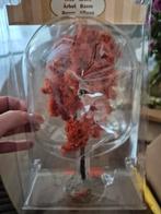 Lemax Boom, Diversen, Ophalen of Verzenden, Zo goed als nieuw