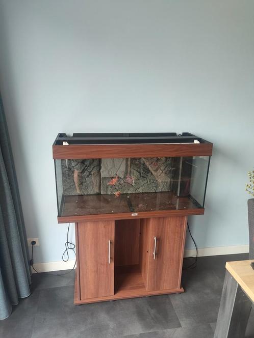 Mooi donkerbruin Juwel RIO 180 aquarium; kan bezorgen evt., Dieren en Toebehoren, Vissen | Aquaria en Toebehoren, Gebruikt, Leeg aquarium