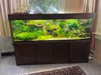 Groot aquarium xl 2 meter 200 cm 900 liter, Dieren en Toebehoren, Vissen | Aquaria en Toebehoren, Ophalen, Gebruikt, Gevuld zoetwateraquarium