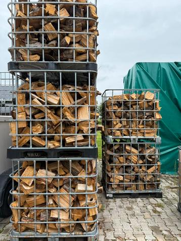 Eikenhout vers beschikbaar voor biedingen
