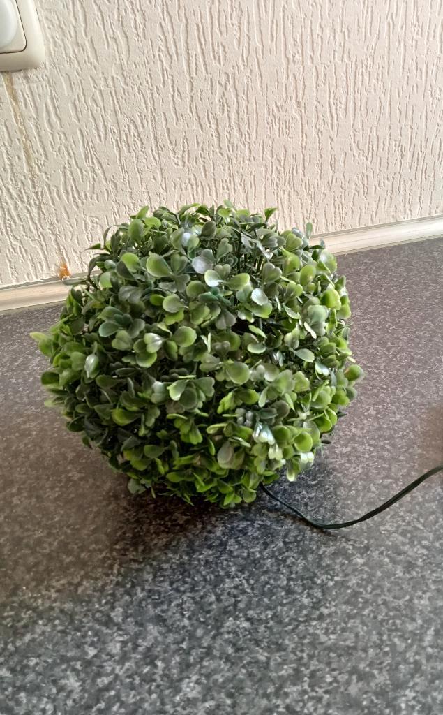 KERST: prachtige buxusbol met verlichting nieuw in doos, Huis en Inrichting, Woonaccessoires | Droogbloemen, Nieuw, Ophalen of Verzenden