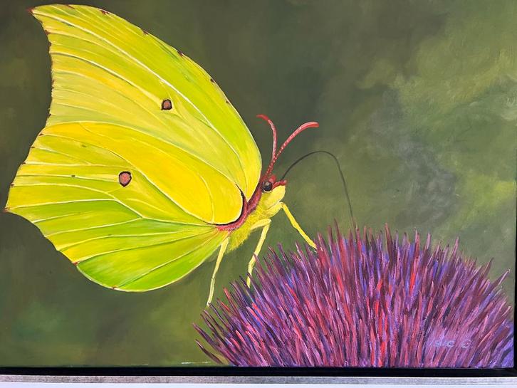 Vlinder op Distel - Origineel Schilderij, Antiek en Kunst, Kunst | Schilderijen | Klassiek, Ophalen of Verzenden