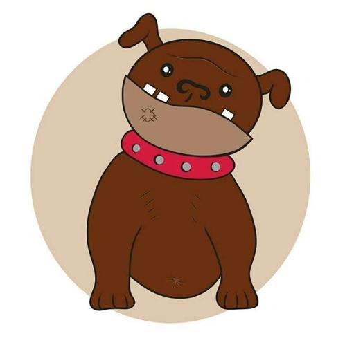 Continental Bulldog Dussboel, Dieren en Toebehoren, Honden | Bulldogs, Pinschers en Molossers, Meerdere dieren, Bulldog, Fokker | Hobbymatig