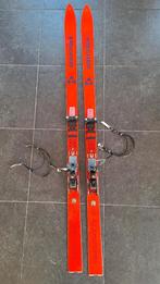 Fischer tourski, 170 cm, Tyrolia binding en stijgvellen, Ophalen, 160 tot 180 cm, Skiën, Ski's